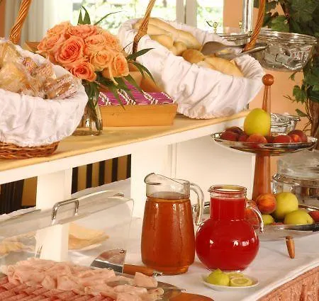 Otel Arcangelo Viareggio